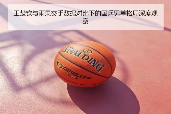 王楚钦与雨果交手数据对比下的国乒男单格局深度观察