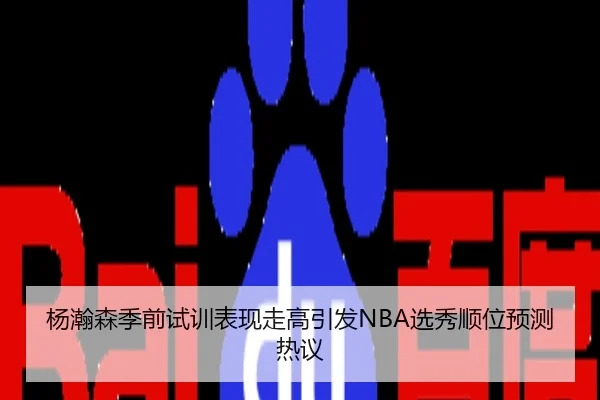 杨瀚森季前试训表现走高引发NBA选秀顺位预测热议
